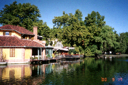 �ش�������